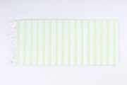 White and Sea Green Striped Single Bedsheet