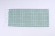 Sea Green Check Single Bedsheet