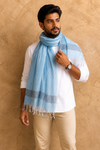 Non-Photo Blue Self Lined Gamchha with Black Linings Border