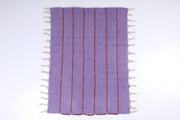 Handwoven Cotton Aashni with Striped Design