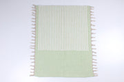 Handwoven Cotton Aashni with Striped Design