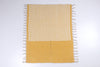 Handwoven Cotton Aashni with Striped Design
