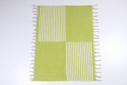 Handwoven Cotton Aashni with Striped Design