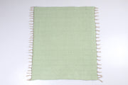 Handwoven Cotton Aashni with Zebra Design
