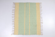Handwoven Cotton Aashni with Zebra and Diamond Weave Design