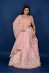Zardozi Lehenga Light Peach with Gotapatti