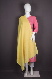 Handwoven Cotton Stole with Intricate Katha Embroidery