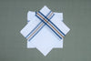 White Handkerchief with Blue Border