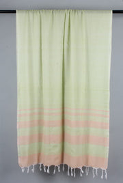 Celadon Green Stole with Pastel Red Stripes